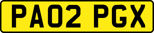 PA02PGX