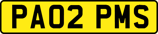 PA02PMS