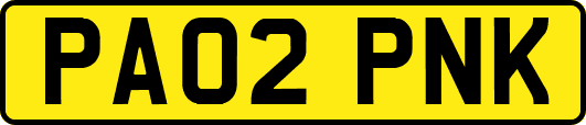 PA02PNK