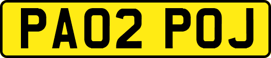 PA02POJ