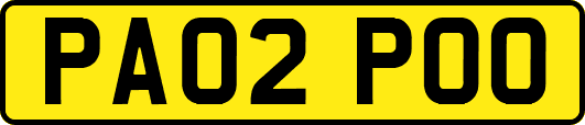 PA02POO