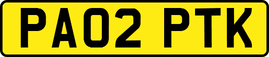 PA02PTK