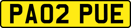 PA02PUE