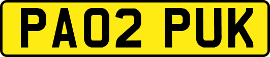 PA02PUK
