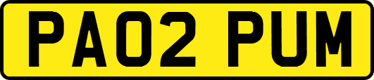 PA02PUM