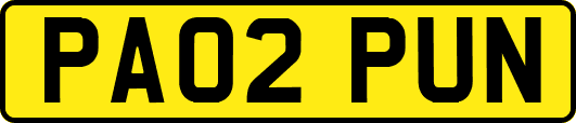 PA02PUN