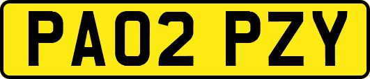 PA02PZY