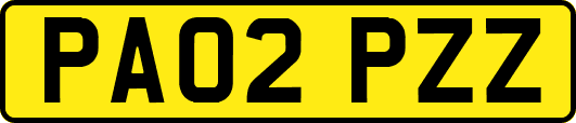 PA02PZZ