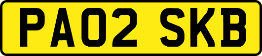 PA02SKB