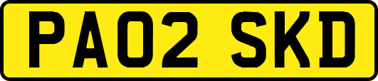 PA02SKD