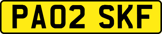 PA02SKF