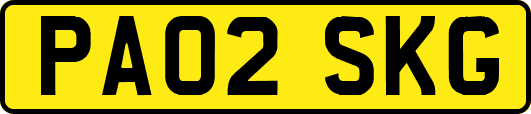 PA02SKG