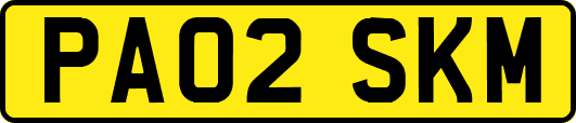 PA02SKM