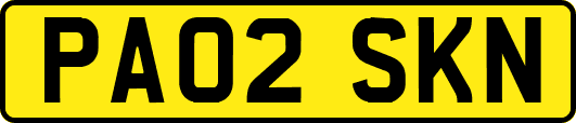 PA02SKN