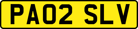 PA02SLV