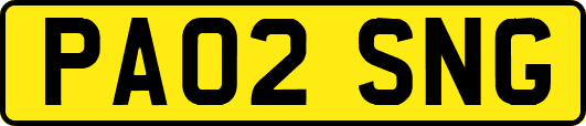 PA02SNG