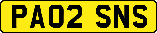 PA02SNS