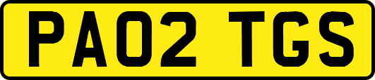 PA02TGS