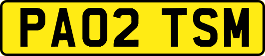 PA02TSM