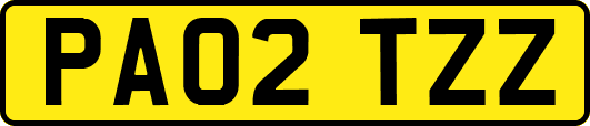 PA02TZZ