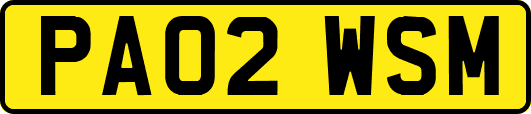 PA02WSM
