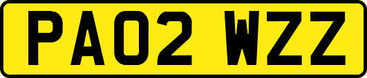 PA02WZZ