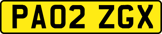PA02ZGX