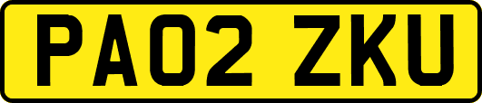 PA02ZKU
