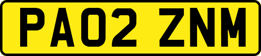 PA02ZNM