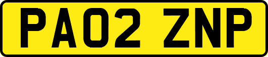 PA02ZNP