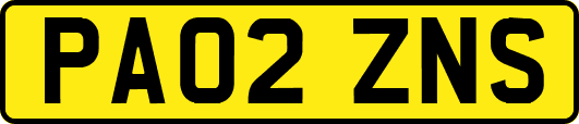 PA02ZNS