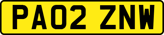 PA02ZNW