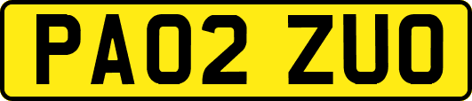 PA02ZUO