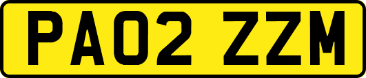 PA02ZZM