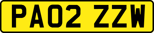 PA02ZZW