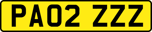 PA02ZZZ