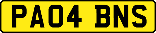 PA04BNS