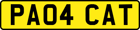PA04CAT