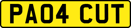 PA04CUT