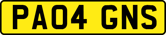 PA04GNS