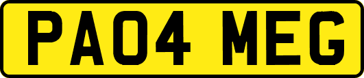 PA04MEG