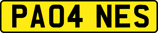 PA04NES