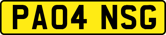 PA04NSG