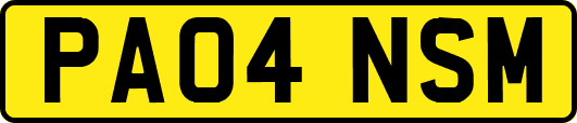 PA04NSM