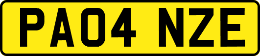 PA04NZE