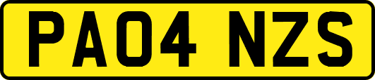 PA04NZS