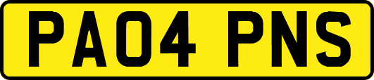 PA04PNS