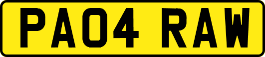 PA04RAW