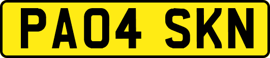PA04SKN