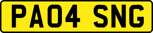 PA04SNG